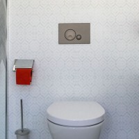 152953 GLOBE клавіша подвійного змиву, сіра (1 сорт) OLI фото 2