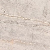 100355035 COLORADO SILVER L 120X120(A) (1 сорт) PORCELANOSA (MC)