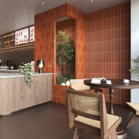 TERRE TANDOORI LINEAL (1 сорт) CERAMICA DESEO фото 1