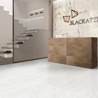 GQP8510H ALPINA (1 сорт) ALMERA CERAMICA-2 фото 8