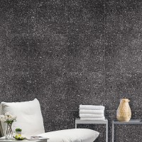 PORFIDO DAS62812 black (1 сорт) Lasselsberger Rako фото 1