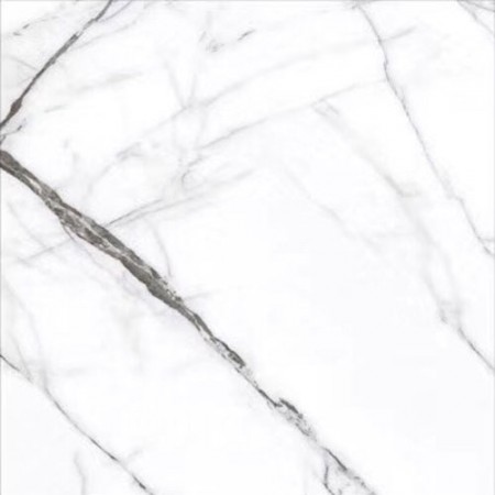 CK6Y246PA ADRIATICA (1 сорт) MEGAGRES