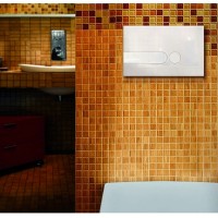 670001 iPlate клавіша змиву, білий (1 сорт) OLI фото 1