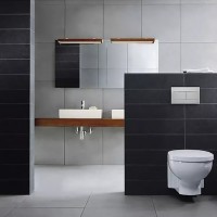 659041 Slim клавіша змиву, біла (1 сорт) OLI фото 1