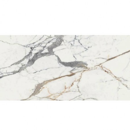 769982 ORIGINES DE REX OR MAT 6MM (1 сорт) FLORIM GROUP