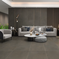 YTI612S9559 LIGHT YEAR (1 сорт) ALMERA CERAMICA-2 фото 2