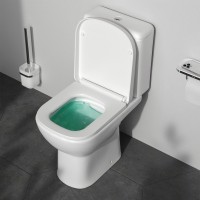 CLA8900SC Sunny Унітаз-компакт Aquaspin з сидінням мікроліфт (1 сорт) AM.PM фото 9