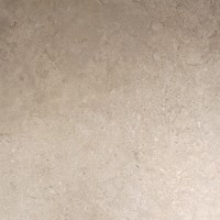 P.E. PORTLAND SAND MATE 100X100 RECT. (1 сорт) Alaplana фото 1