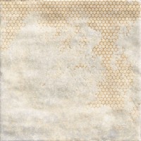 MANDALA WHITE (1 сорт) Mainzu фото 3