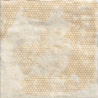 MANDALA WHITE (1 сорт) Mainzu фото 4