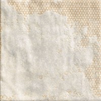 MANDALA WHITE (1 сорт) Mainzu фото 1