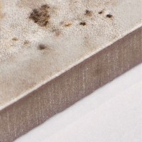 ANTIC.GRE PIETRA DI CREMA (1 сорт) PAMESA фото 5