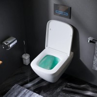 C701701SC Spirit V2.0 Square підвісний унітаз FlashClean з сидінням мікроліфт (1 сорт) AM.PM фото 7