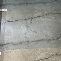 ANTHERIUM CORDA (1 сорт) CERAMICA DESEO фото 4