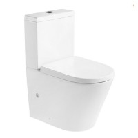 8490021 TOPIC 2.0 Компакт безобідковий +  кришка soft close (1 сорт) Primera фото 1