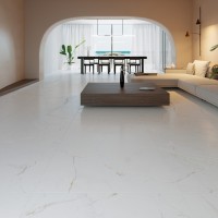 DUAL WHITE NT/60X120X0,9/C/R (1 сорт) Peronda фото 4