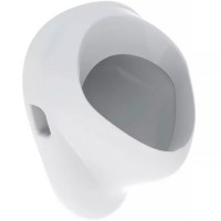 502.895.00.1 Felix Уринал, прихований підвід, прихований відвід, колір білий глянець (1 сорт) Geberit фото 5