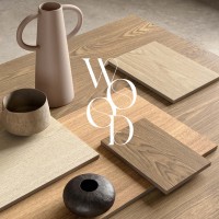 APRICOT6 2015 (1 сорт) LA FAENZA фото 5