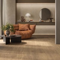 APRICOT6 2015 (1 сорт) LA FAENZA