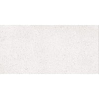 PORFIDO DASV9810 white (1 сорт) Lasselsberger Rako фото 1