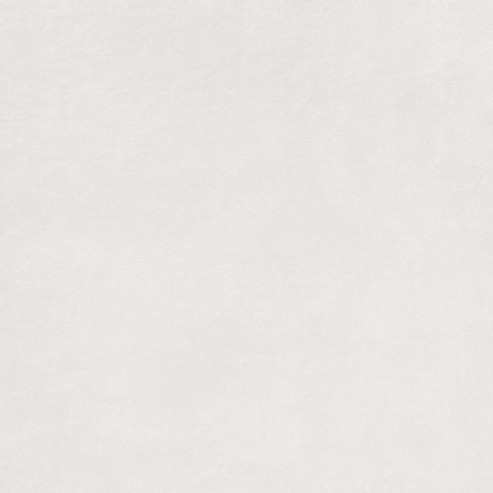 EXTRA DAR62722 white (1 сорт) Lasselsberger Rako