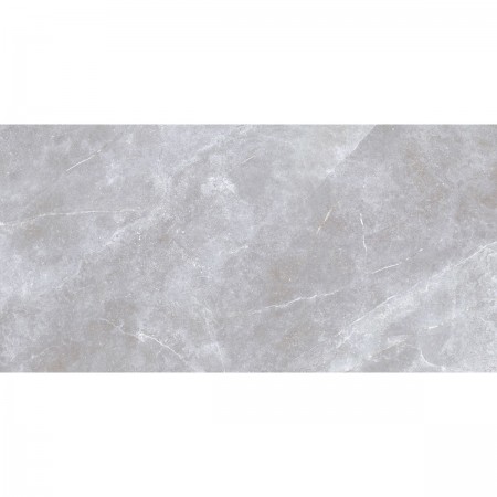 SPACE STONE Сірий глянц протектор 5V2990 (1 сорт) Golden Tile