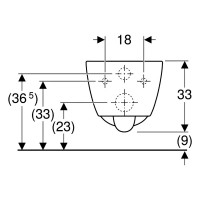 501.661.00.1 iCon Унітаз підвісний без обідка, 6л, 530мм, колір білий (1 сорт) Geberit фото 2