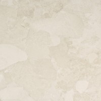 EN4Y MA.SA WHT SK R (1 сорт) ERGON фото 3