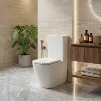 2050140 QUADRA Унітаз-компакт безобідковий з кришкою soft-close, Vortex Flush,  білий глянець (1 сор Devit фото 3