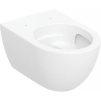 502.717.00.1 Acanto Унітаз підвісний воронкоподібний, закрита форма, TurboFlush, глибина 53 см, біли Geberit