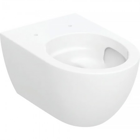 502.717.00.1 Acanto Унітаз підвісний воронкоподібний, закрита форма, TurboFlush, глибина 53 см, біли Geberit