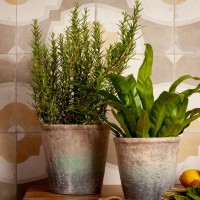 FS FARFALLA MUSTARD/45X45X0,95 (1 сорт) Peronda фото 3