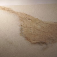 MT01BA CALACATTA EXTRA SQ. 120X60 (1 сорт) ITALGRANITI фото 8