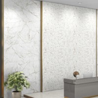 IMPERIAL BRONZE POL (1 сорт) MEGAGRES фото 6