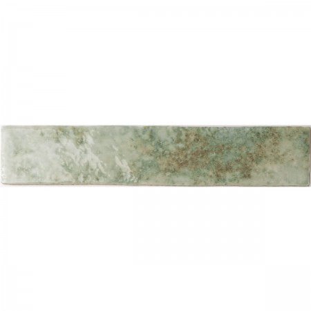 133176 POTTERS AGAVE (1 сорт) WOW