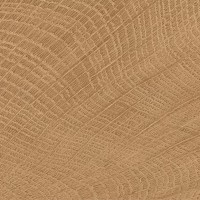 ENJE WCI WALNUT 100X100 (1 сорт) EMIL CERAMICA фото 1