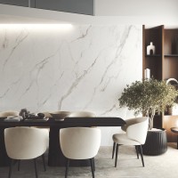 LUMIERE WHITE/60X120/EP (1 сорт) Peronda фото 5