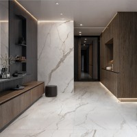 LUMIERE WHITE NT/60X120X0,9/C/R (1 сорт) Peronda фото 6