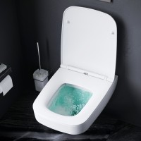 C50A1700SC Inspire V2.0 Підвісний унітаз FlashClean із кришкою мікроліфт (1 сорт) AM.PM фото 4