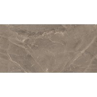 ALBI BROWN (1 сорт) MEGAGRES фото 4