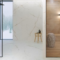 DUAL WHITE NT/60X120X0,9/C/R (1 сорт) Peronda фото 5