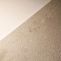 P.E. PORTLAND BONE MATE RECT. (1 сорт) Alaplana фото 7