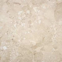 GRAVINA BEIGE MATE 100X100 RECT. MATT ### (1 сорт) Alaplana фото 1