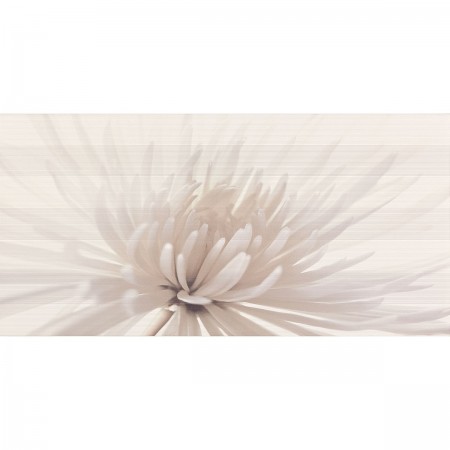 AVANGARDE CENTRO FLOWER (1 сорт) OPOCZNO UA