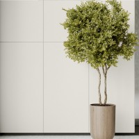 GRES MONOLIGHT EXTERIOR WHITE R10 RECT (1 сорт) Cerrad фото 2