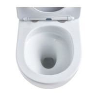 DFL0460111W Flow Унітаз підвісний 495*365*365mm з кришкою soft-close, Vortex Flush, білий глянець (1 Devit фото 5