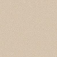 GRES MONOLIGHT EXTERIOR BEIGE (MX03) RECT. (1 сорт) Cerrad фото 1