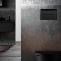 115.119.DW.1 Delta50 Клавіша змиву з подвійним змивом: Чорний глянець (RAL 9005) (1 сорт) Geberit промо фото 3