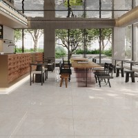 ARCTIC POLISHED (1 сорт) MEGAGRES фото 8