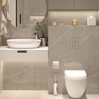 E10009 Прихована кнопка змиву Edplit CWG(Grohe) (1 сорт) EDPLIT фото 1